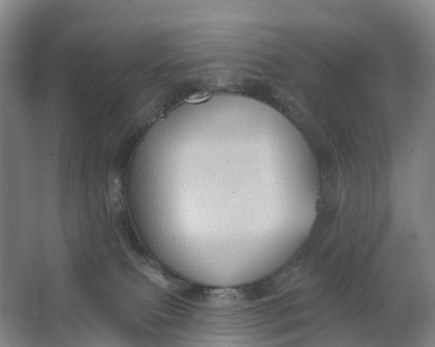 X0000062890087200601271659