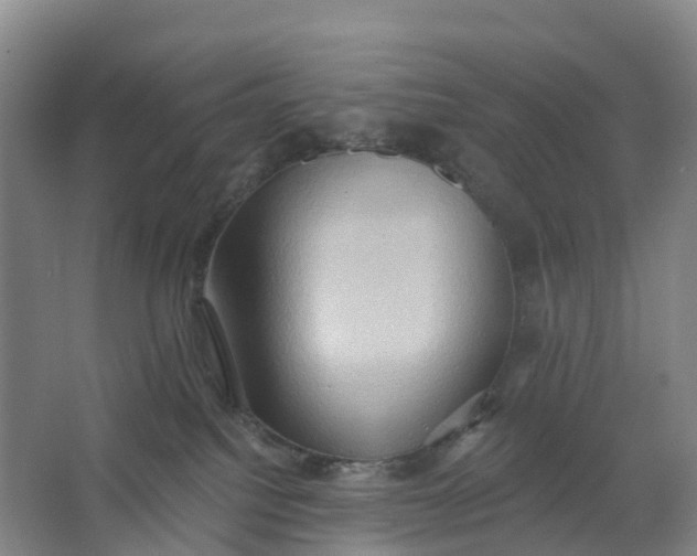 X0000062890088200601271659