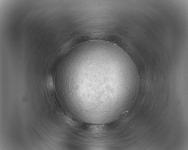 X0000062890089200601271659