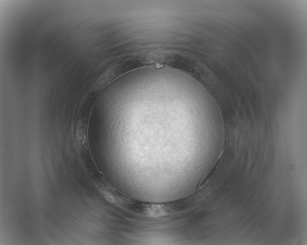 X0000062890091200601271659