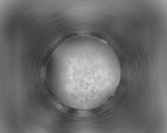 X0000062890093200601271659