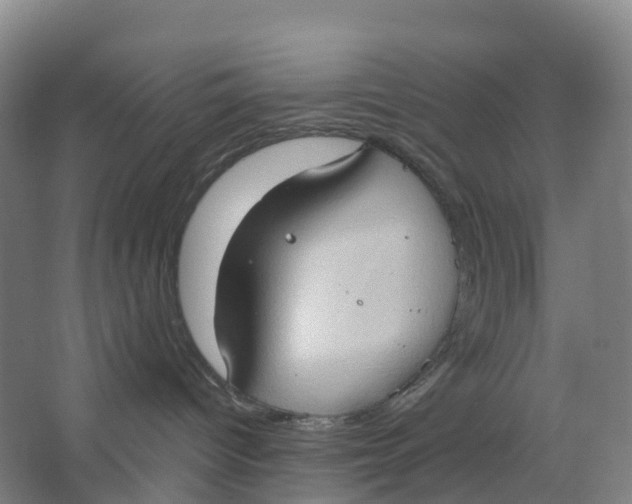 X0000062890096200601271659