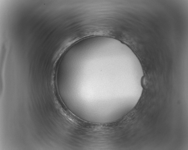 X0000062890098200601271658