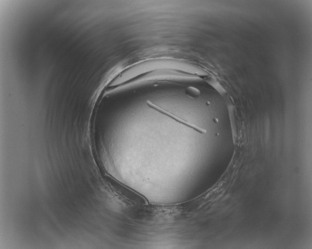 X0000062890099200601271658