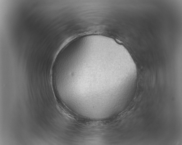 X0000062890100200601271658