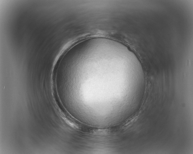 X0000062890102200601271658