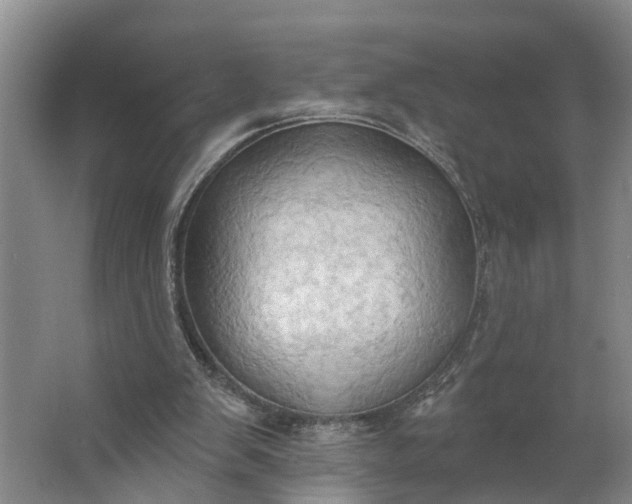 X0000062890103200601271658