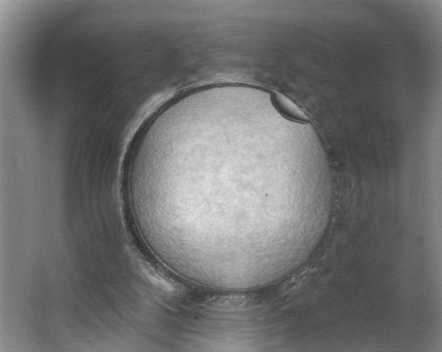 X0000062890104200601271658