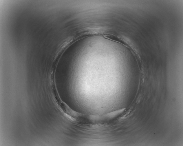 X0000062890105200601271658