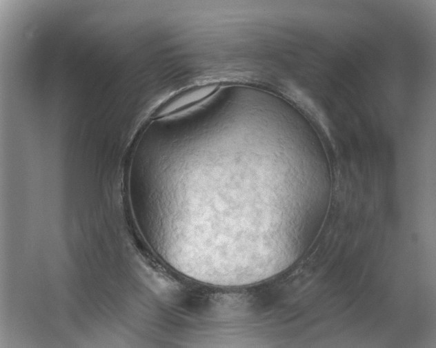 X0000062890107200601271658