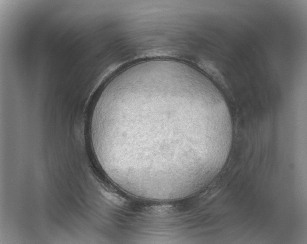 X0000062890108200601271658