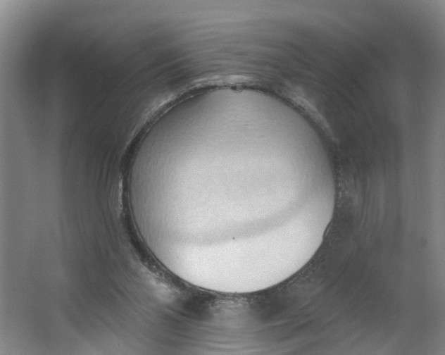 X0000062890110200601271658