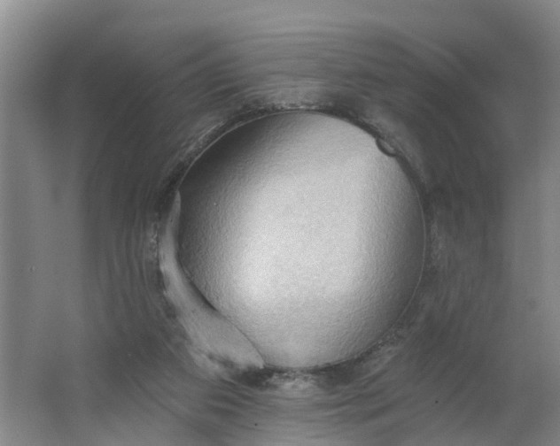 X0000062890113200601271658