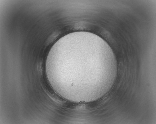 X0000062890116200601271658