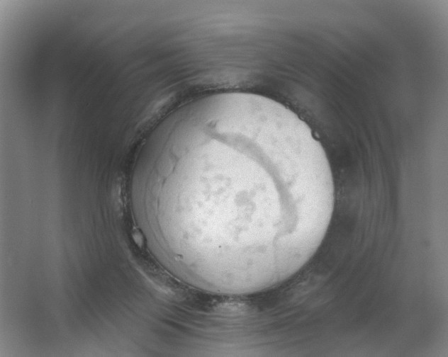 X0000062890119200601271658