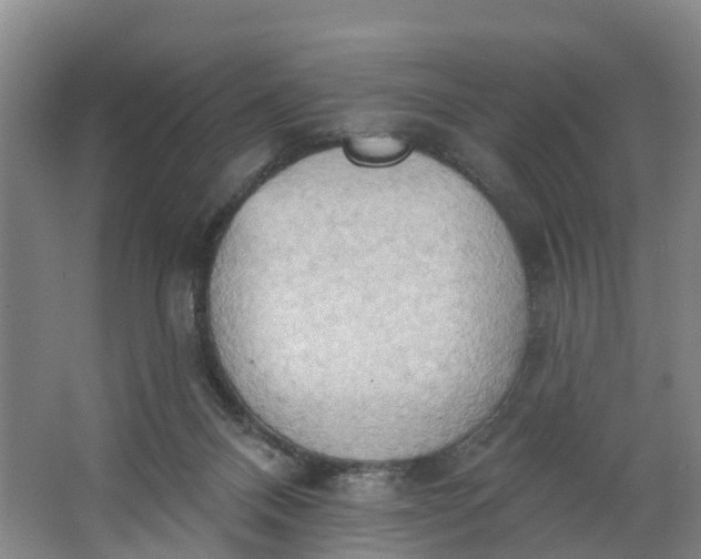 X0000062890120200601271658