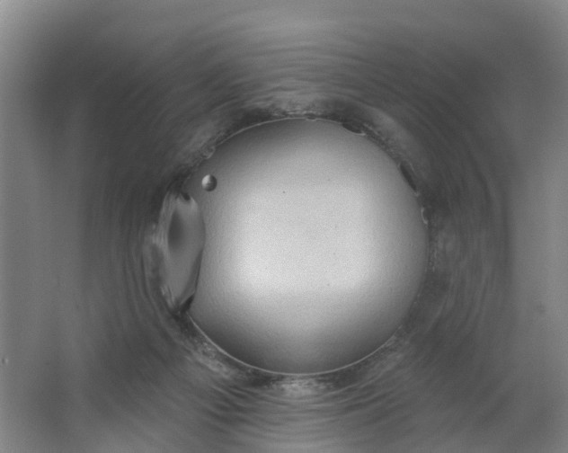 X0000062890121200601271658