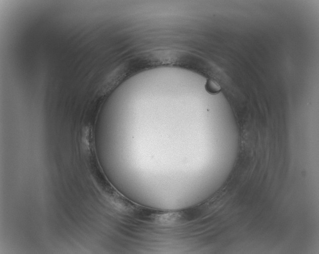 X0000062890122200601271658