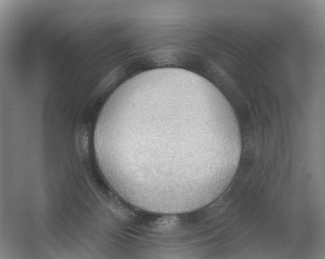 X0000062890124200601271657