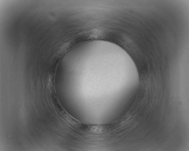 X0000062890127200601271657