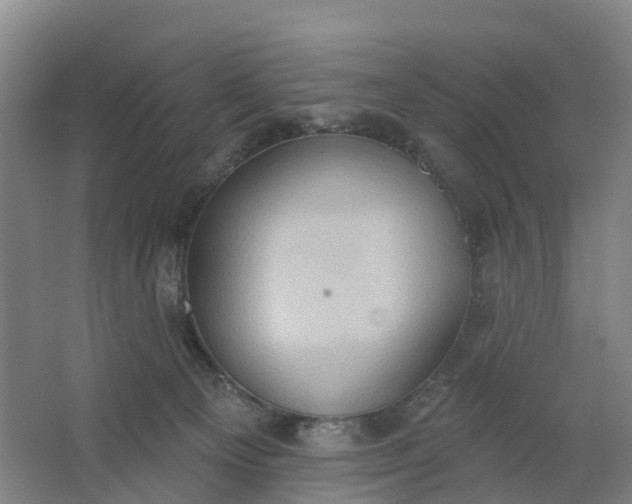 X0000062890129200601271657