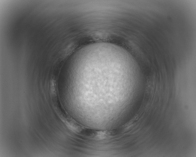 X0000062890130200601271657