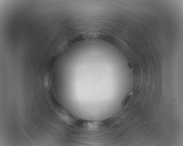 X0000062890134200601271657