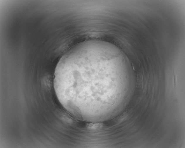 X0000062890135200601271657