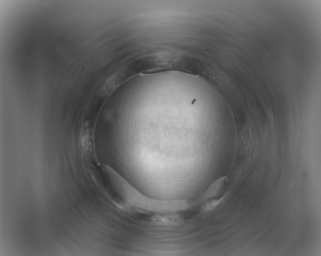 X0000062890137200601271657