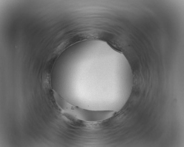 X0000062890141200601271657