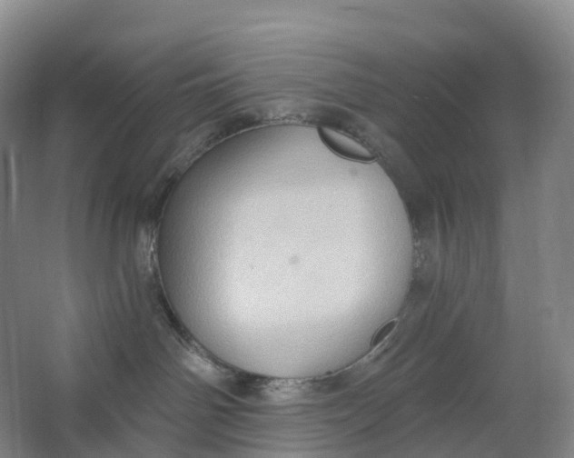 X0000062890142200601271657