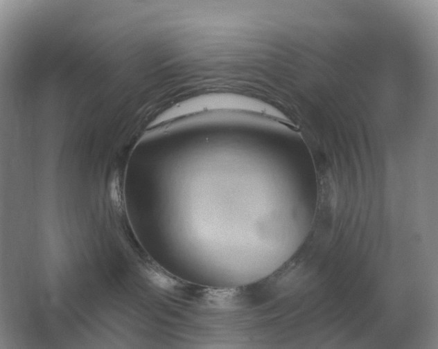 X0000062890143200601271657