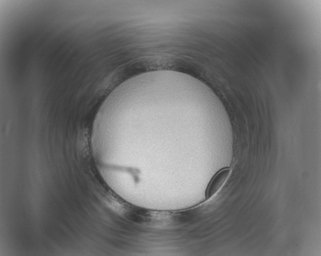 X0000062890144200601271657