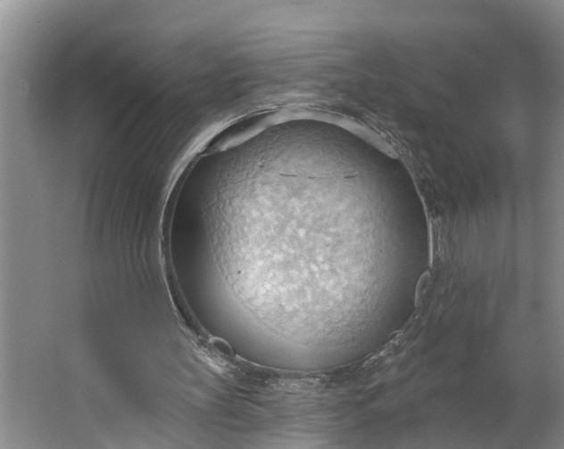 X0000062890147200601271656