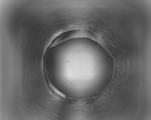 X0000062890148200601271656