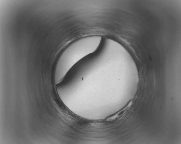 X0000062890154200601271656