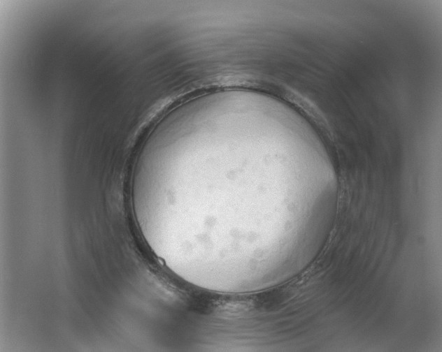 X0000062890155200601271656