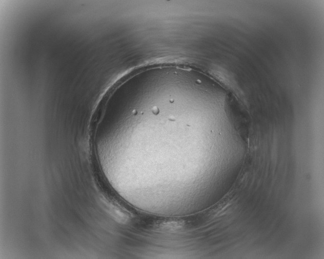 X0000062890156200601271657