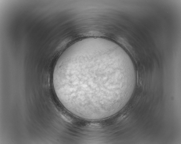 X0000062890157200601271657