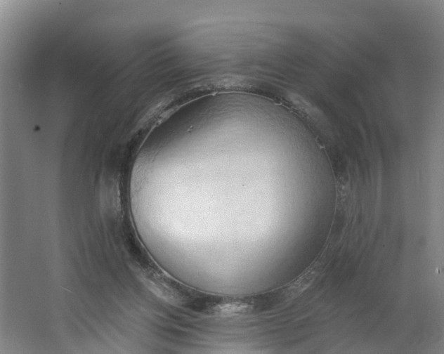 X0000062890158200601271657