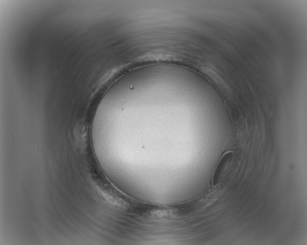 X0000062890160200601271657