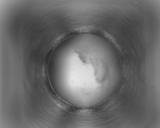 X0000062890161200601271657