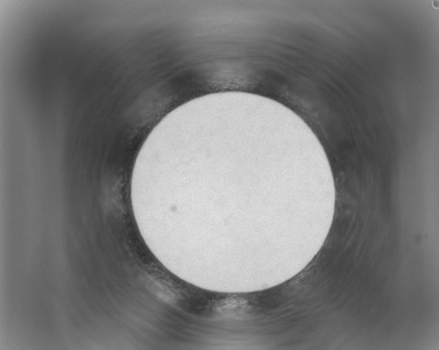 X0000062890162200601271657