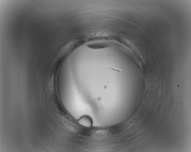 X0000062890163200601271657