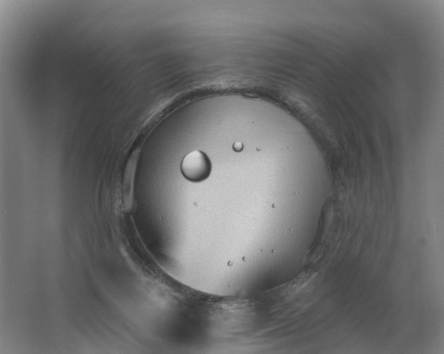 X0000062890164200601271657