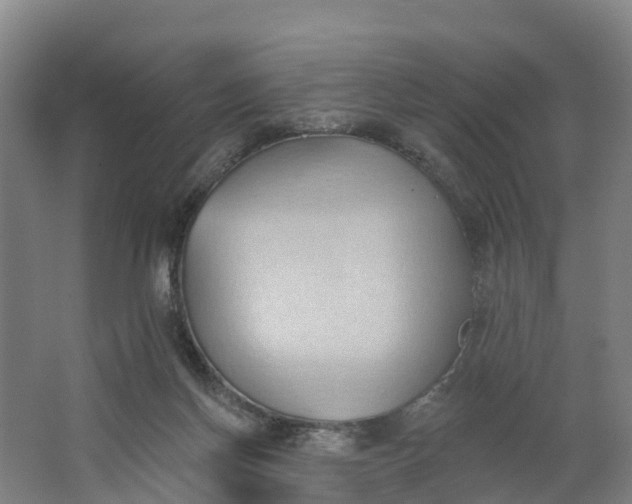 X0000062890166200601271657