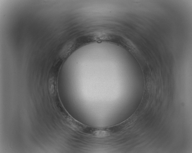 X0000062890169200601271657