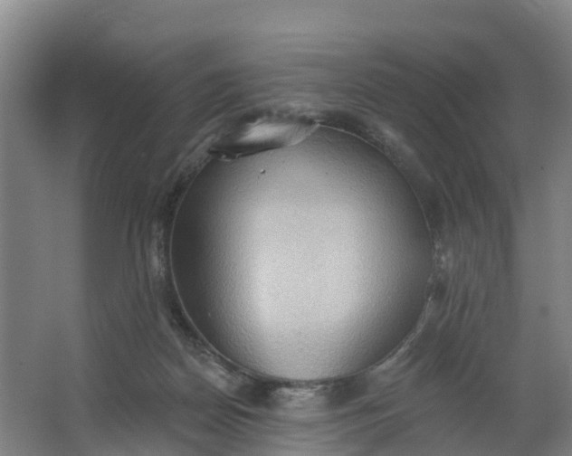 X0000062890170200601271657