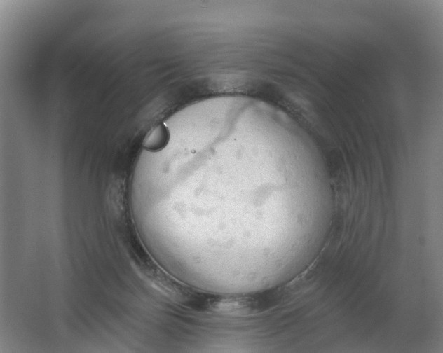 X0000062890171200601271657