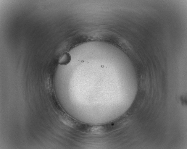 X0000062890173200601271657